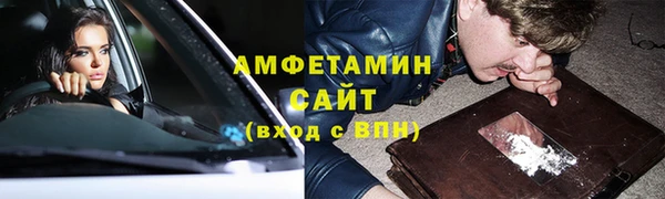 ПСИЛОЦИБИНОВЫЕ ГРИБЫ Гусев
