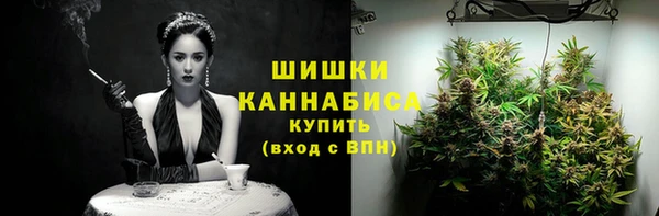 прущие грибы Гусиноозёрск