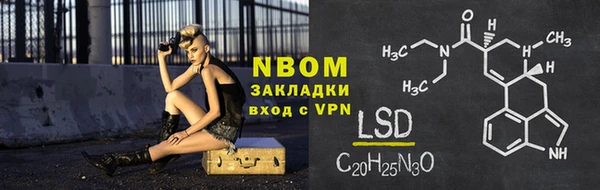 индика Горняк