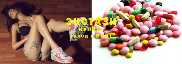 индика Горняк