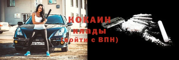 ПСИЛОЦИБИНОВЫЕ ГРИБЫ Гусев