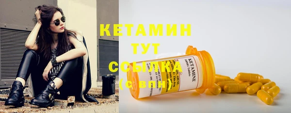 индика Горняк