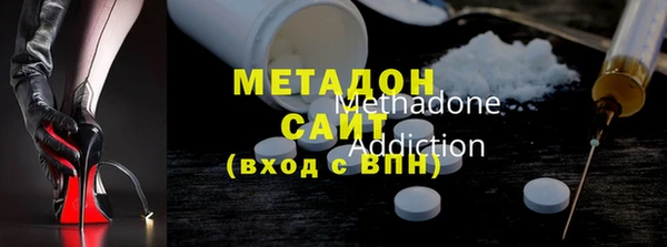 прущие грибы Гусиноозёрск