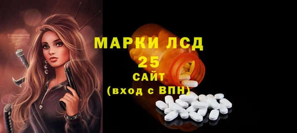 ПСИЛОЦИБИНОВЫЕ ГРИБЫ Гусев