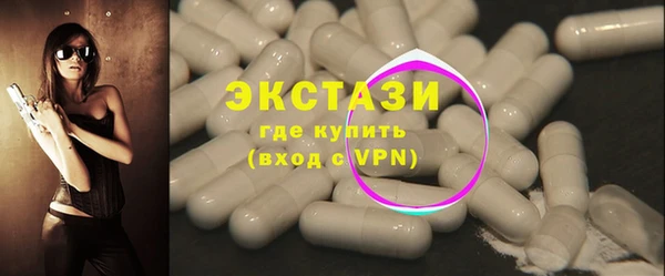 индика Горняк