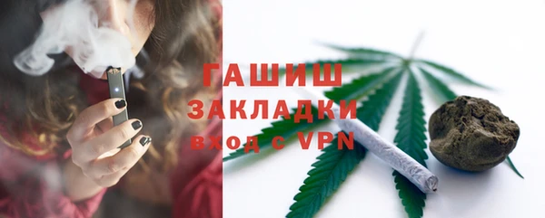 прущие грибы Гусиноозёрск