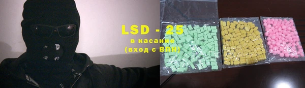 ПСИЛОЦИБИНОВЫЕ ГРИБЫ Гусев