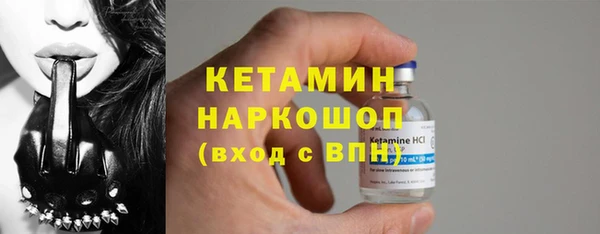 прущие грибы Гусиноозёрск