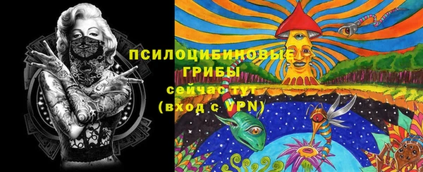 ПСИЛОЦИБИНОВЫЕ ГРИБЫ Гусев