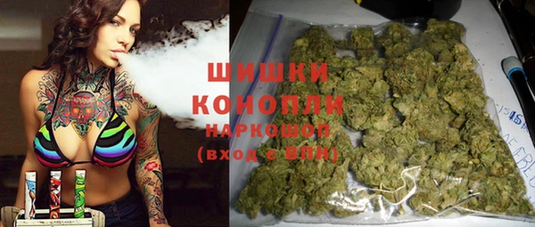 индика Горняк