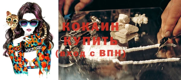 прущие грибы Гусиноозёрск
