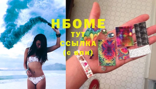 индика Горняк