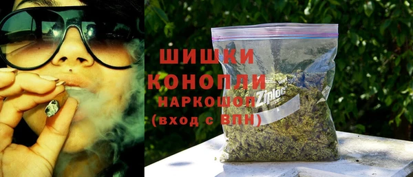 ПСИЛОЦИБИНОВЫЕ ГРИБЫ Гусев