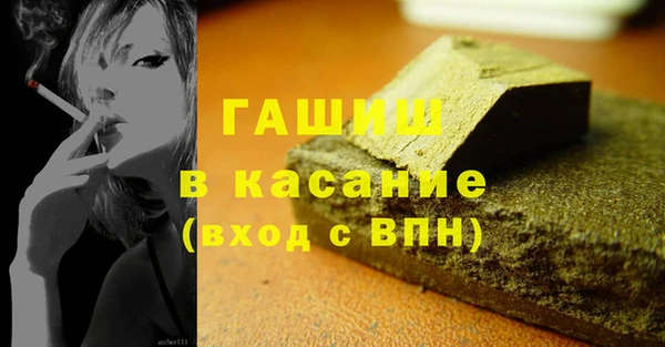 прущие грибы Гусиноозёрск